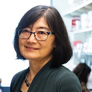 Reducing Nicotine in Cigarettes: The Impact on Public Health | Blog