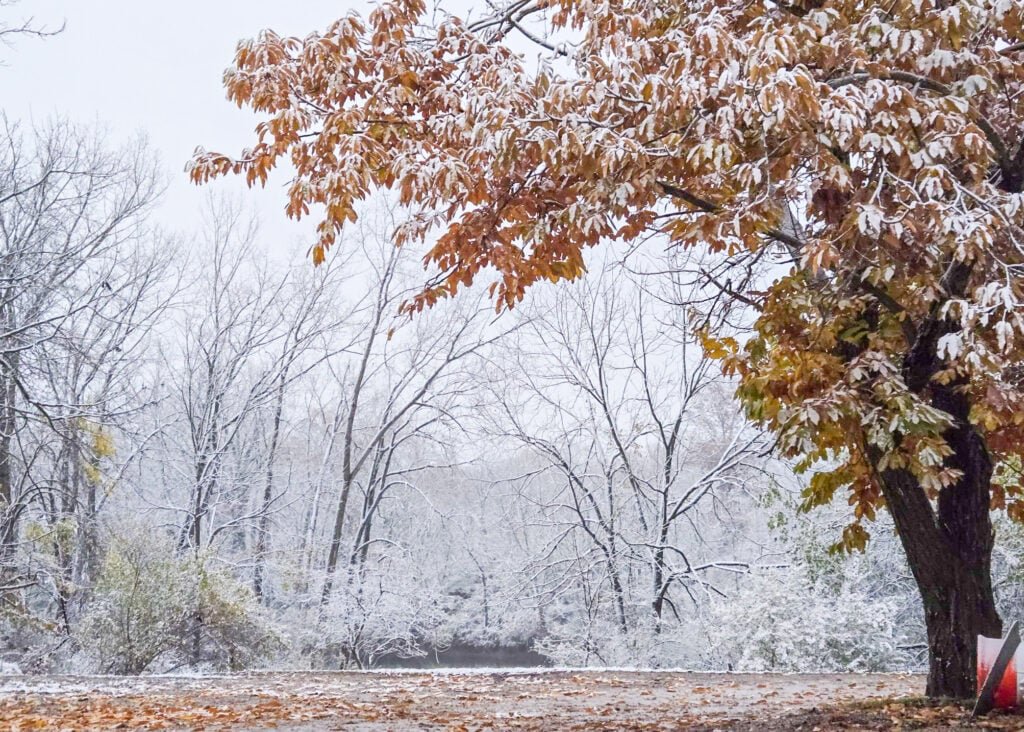 The Little Things Newsletter #496 – Life, laughter, and lots of great food!