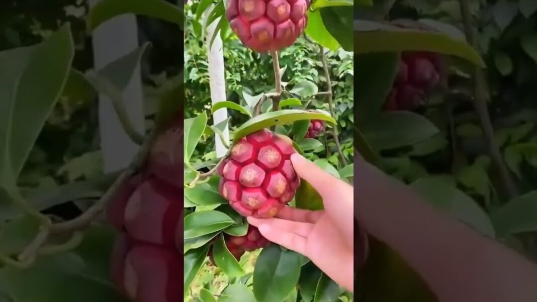 Fun facts about foods #healthy #health #nutrition#shorts