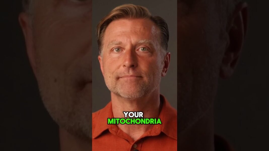 How to NEVER Get Cancer