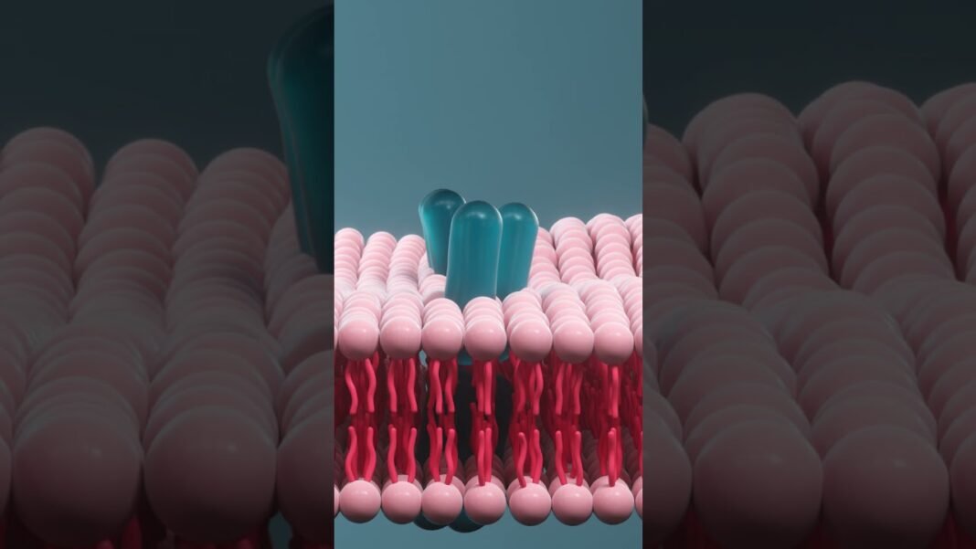 O que explica o rápido crescimento de tumores? #metabolismo #cancer #câncer #biologia #medicina