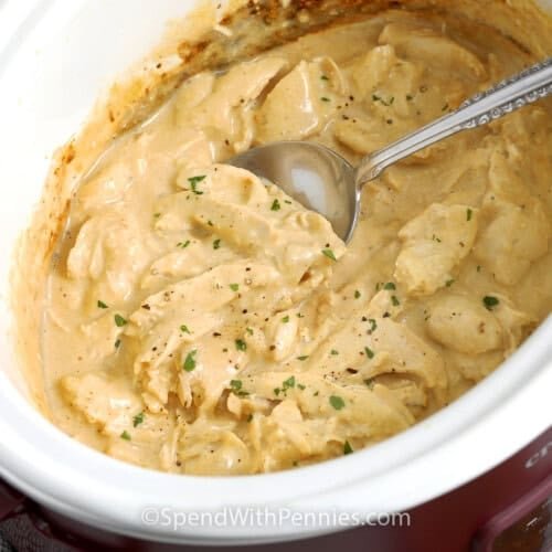 Crockpot Chicken and Gravy