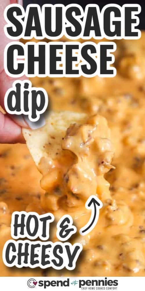 Sausage Cheese Dip