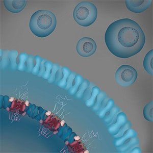 Editors’ Picks: Potent Molecular Glues, Personalized CAR T-cell Therapies, and More | Blog