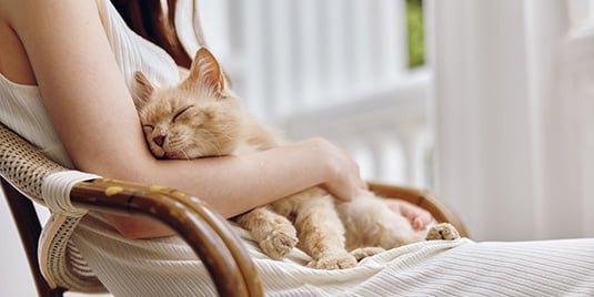 Bipolar Disorder and Routine: Why Structure Matters| bpHope.com