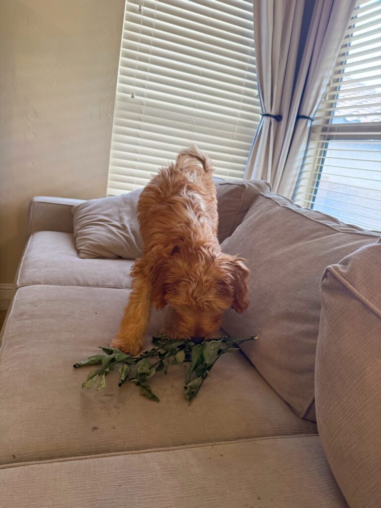 2.20 Friday Faves – The Fitnessista