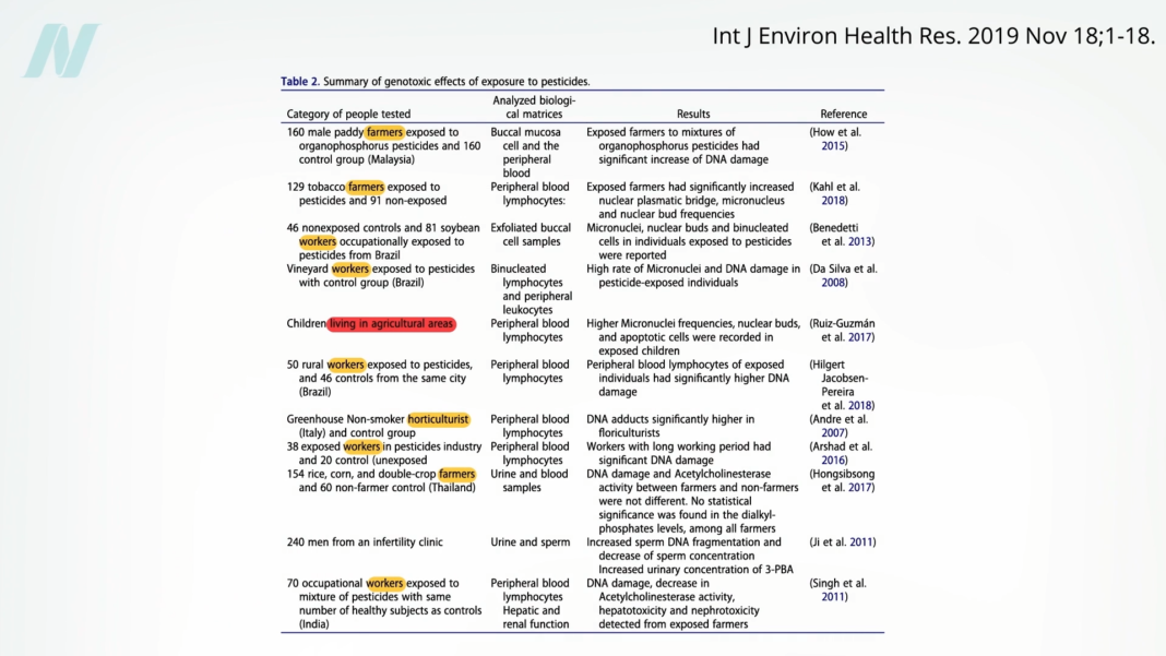 Can It Lower Your Cancer Risk?