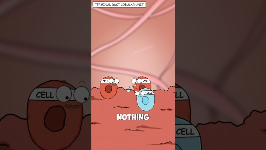 What Actually Causes Breast Cancer?