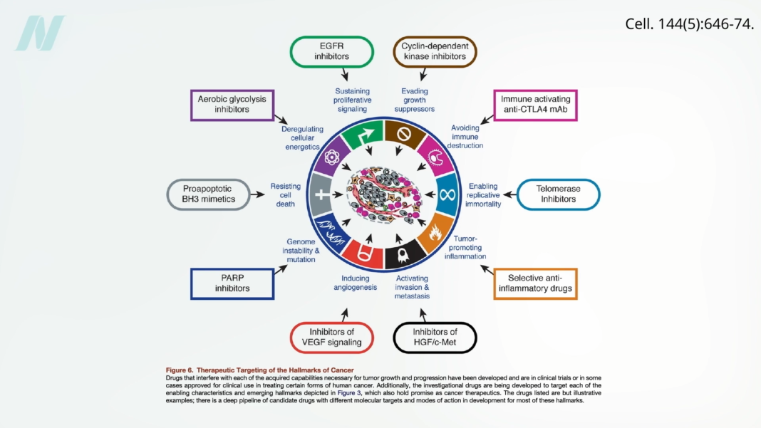 Fighting Cancer with Whole Plant Foods