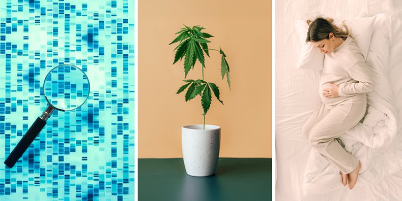 Bipolar Research: Mania Genes, Cannabis, and Pregnancy Sleep