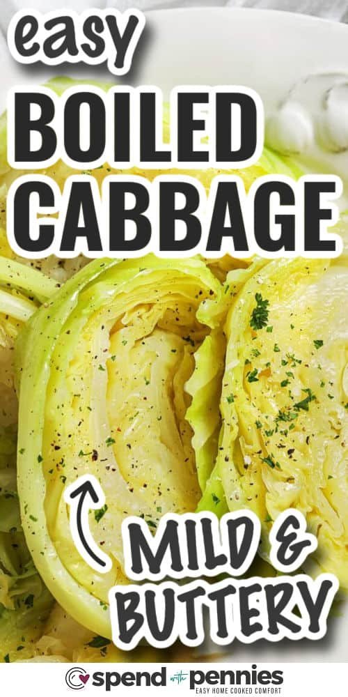 Quick & Easy Boiled Cabbage