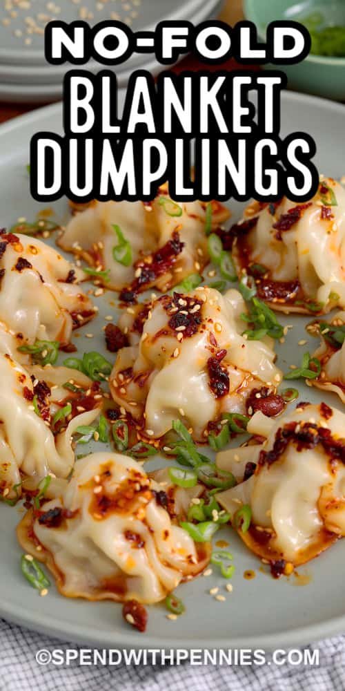 No Fold Blanket Dumplings