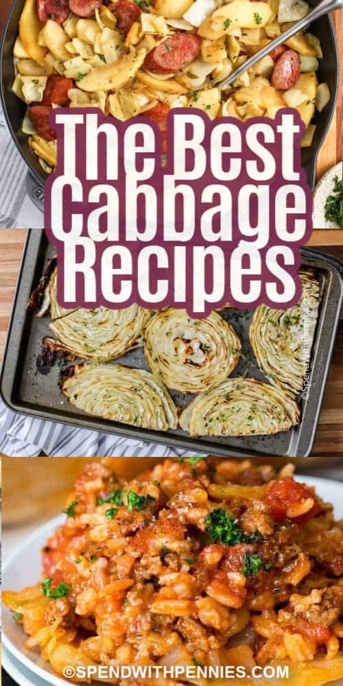 15 Best Cabbage Recipes