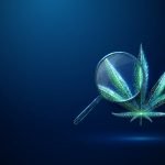Medical cannabinoids as a treatment for mental health