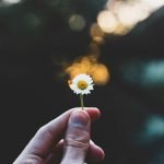 Anorexia recovery looks different for professionals and people with lived experience