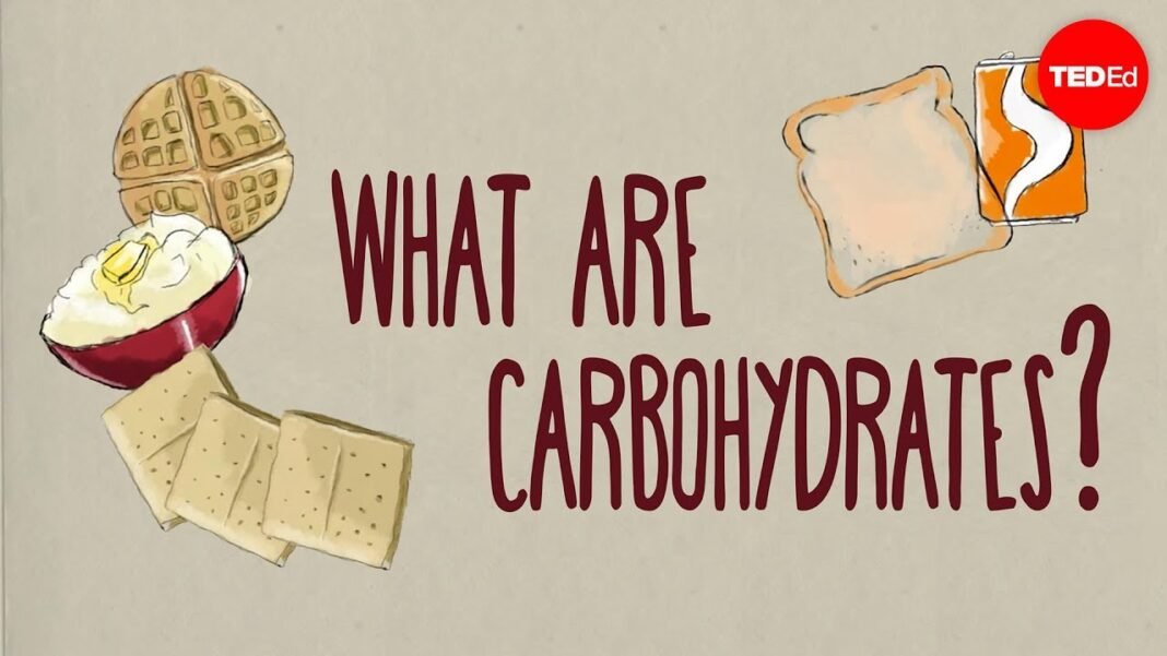How do carbohydrates impact your health? – Richard J. Wood