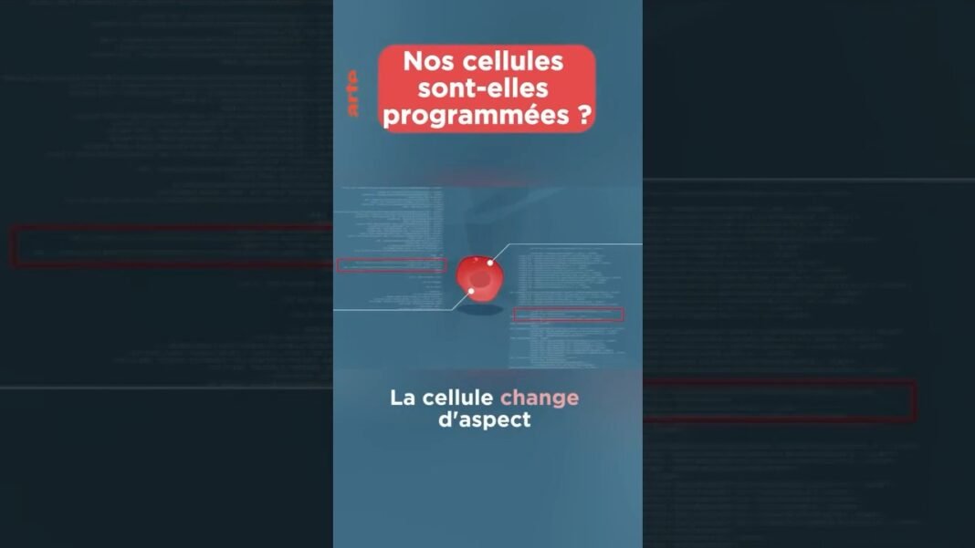 Comment se développe le cancer ? 🧬 #corps #santé #artefamily #shorts