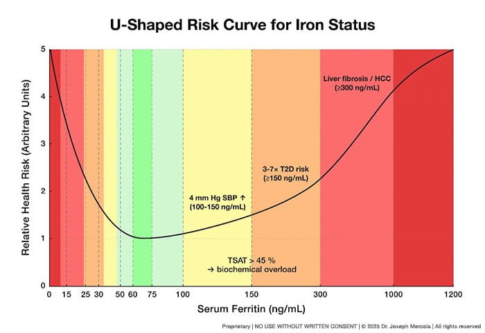 Over 50% of Heart Attacks in Younger Women Aren’t from Clogged Arteries