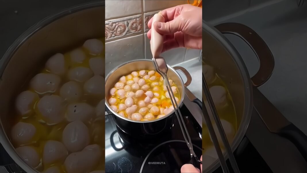 High Protein Remedy at Home | Daily Nutrition for Energy & Strength
