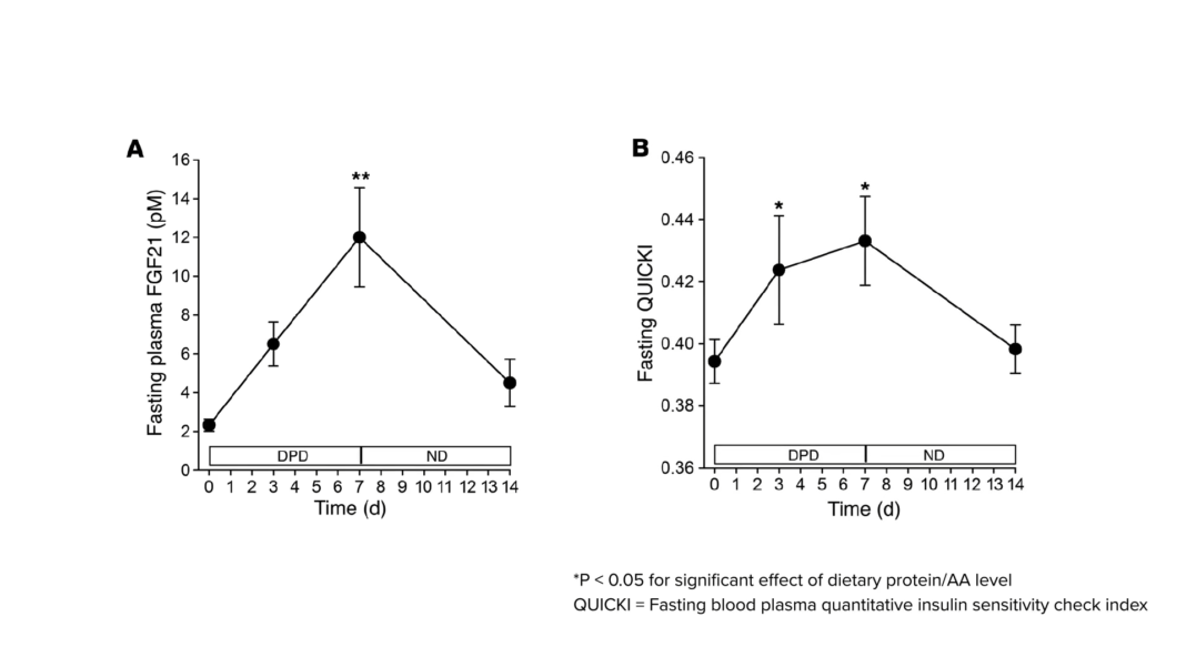 Does Less Protein Increase FGF21 for Longevity?