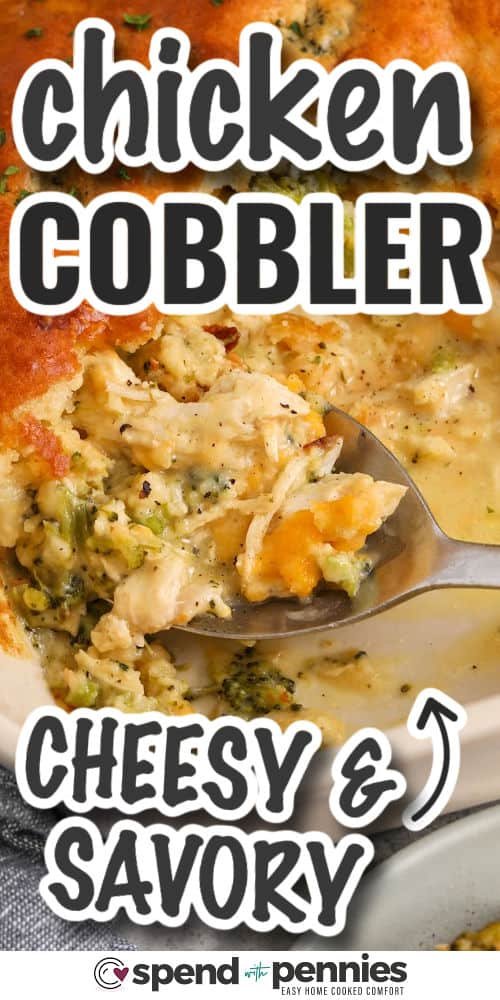 Chicken Cobbler Recipe
