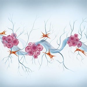 Editors’ Picks, May 2026: Insights Into CAR T Therapy and More | Blog