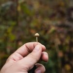 Psilocybin-assisted therapy for difficult-to-treat depression: underwhelming, but still vital?