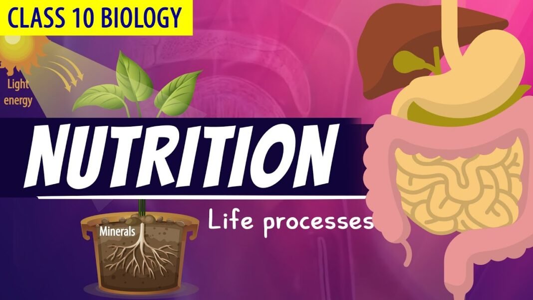 CLASS 10 LIFE PROCESSES FULL CHAPTER (Animation)| PART – 1 | NCERT Science chapter 6| Nutrition