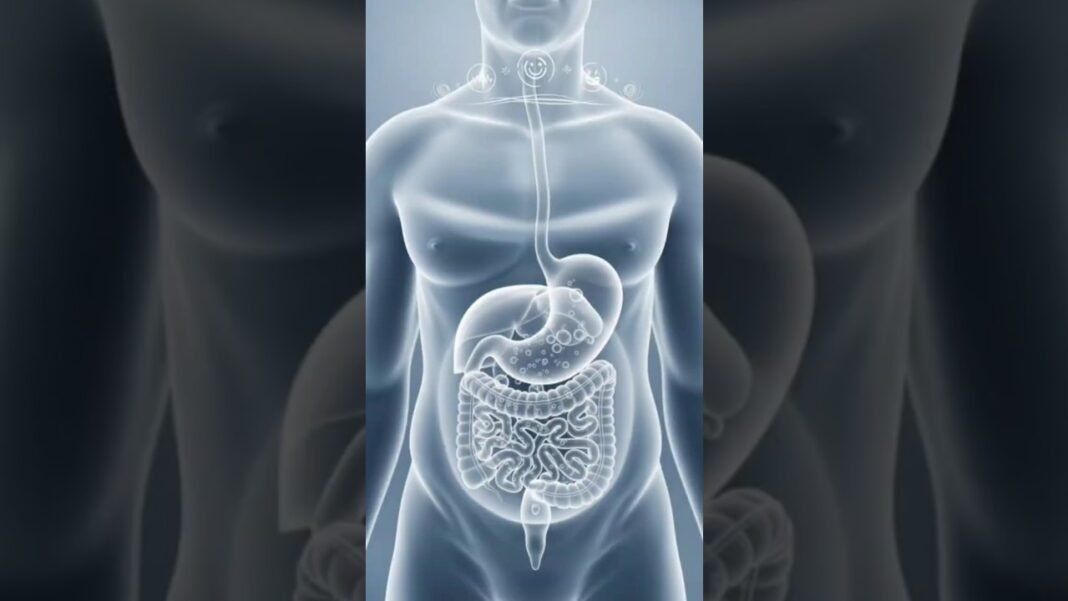 Bienfaits de l'eau chaude #santé #santénaturelle #bienêtre #santésenior #shorts #nutrition