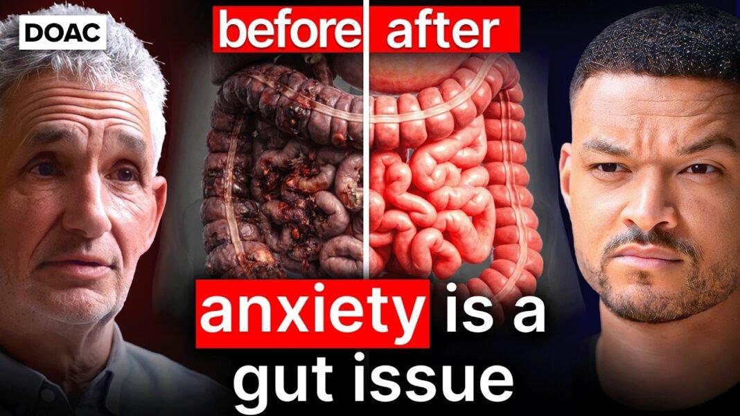 The Microbiome Doctor: Doctors Were Wrong! The 3 Foods You Should Eat For Perfect Gut Health!