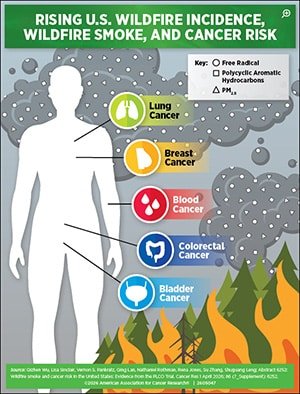 Catching the Drift: How Wildfire Smoke Plumes May Increase Cancer Risk | Blog