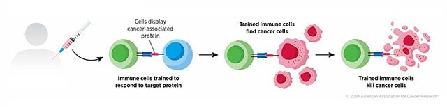 How Vaccines Are Reshaping the Fight Against Pancreatic Cancer | Blog