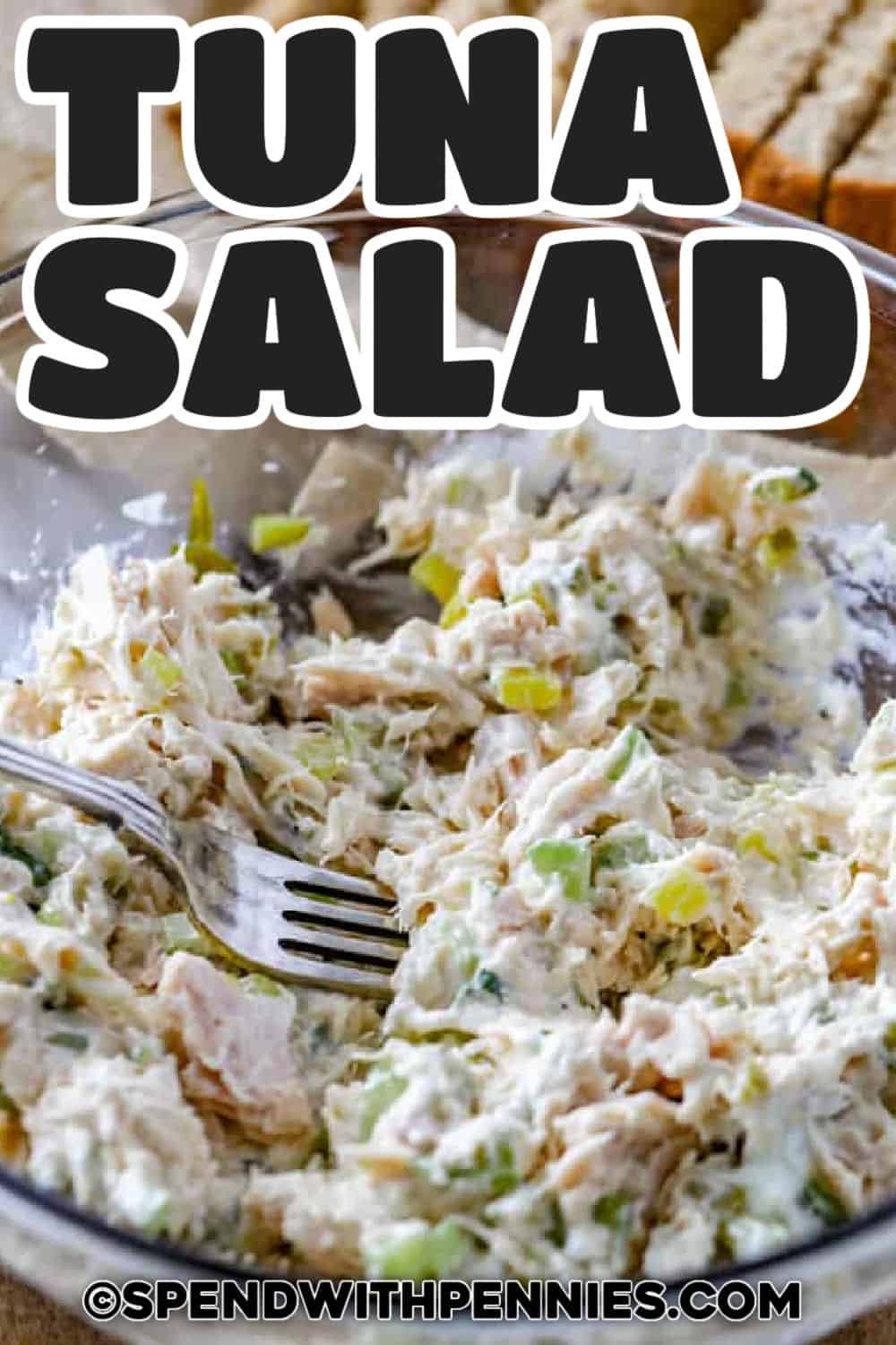 Tuna Salad Recipe