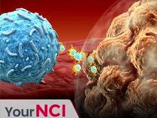 The Story of Immune Checkpoint Inhibitors and Immunotherapy