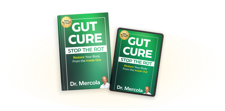 Why We Started with Your Gut