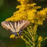 Summer Sinusitis: Why Your Congestion Won’t Go Away
